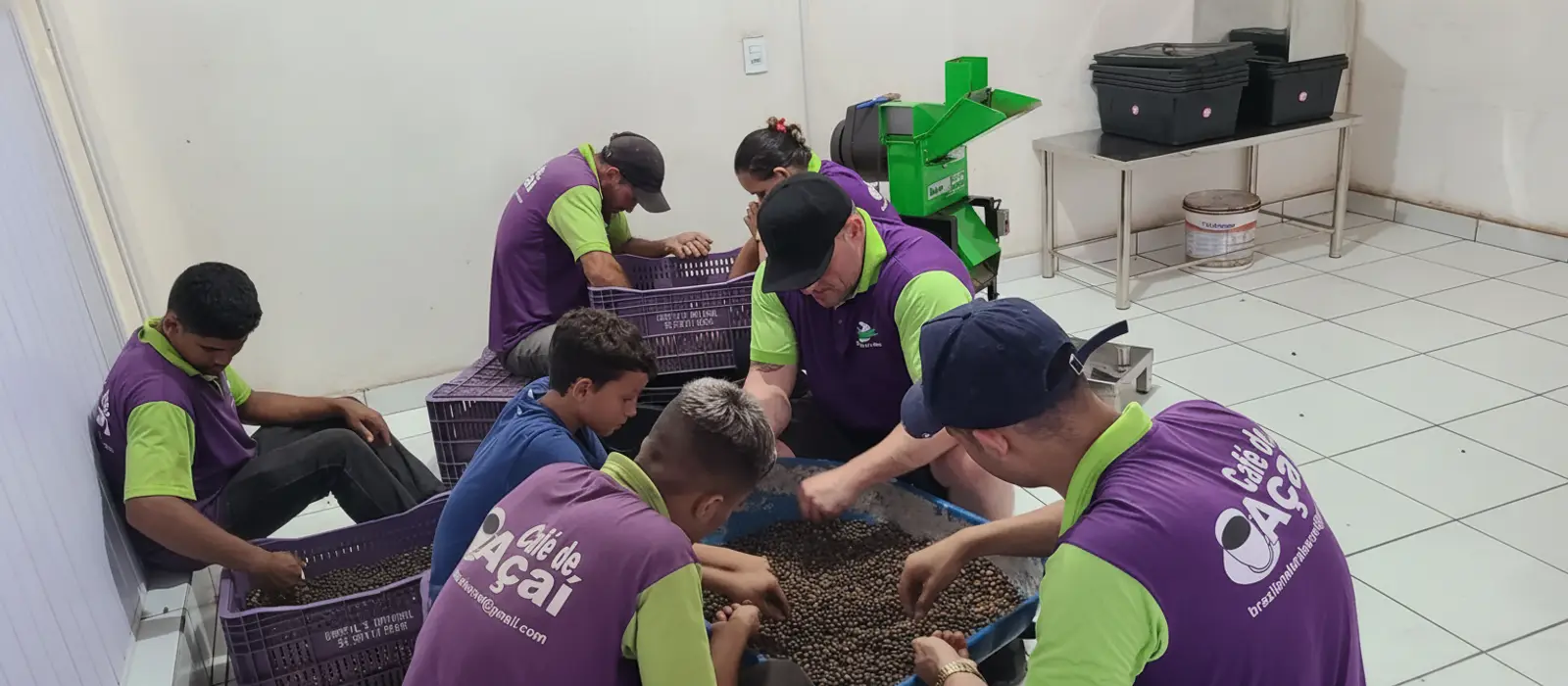 The Dripssai team sorting roasted açaí seed in Pará, Brazil