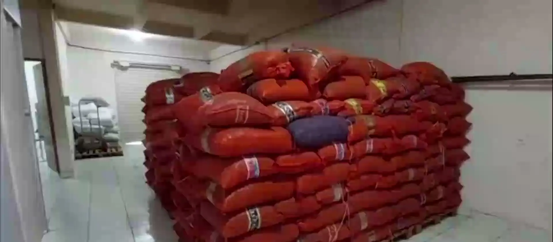 Dried açaí seed in store before roasting
